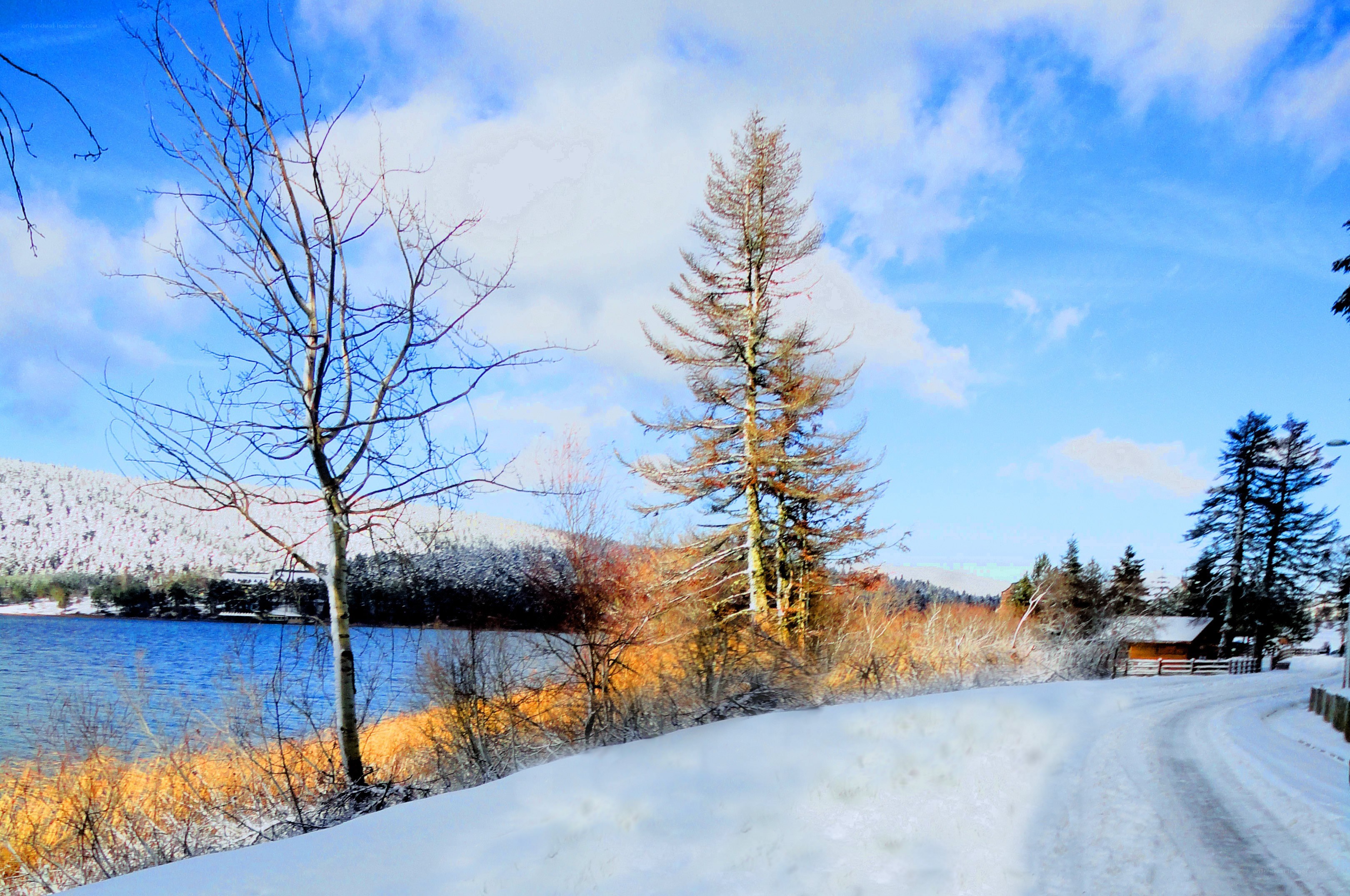 Snowy lake in winter