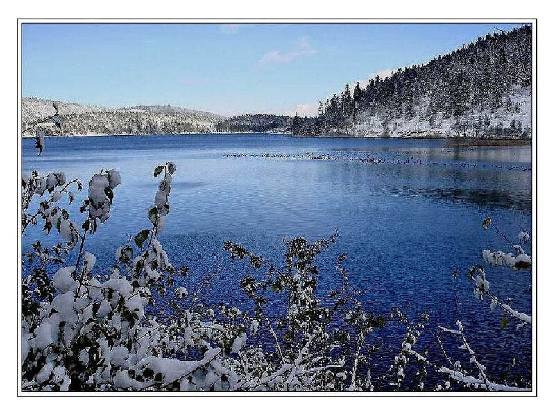 Snowy lake in winter