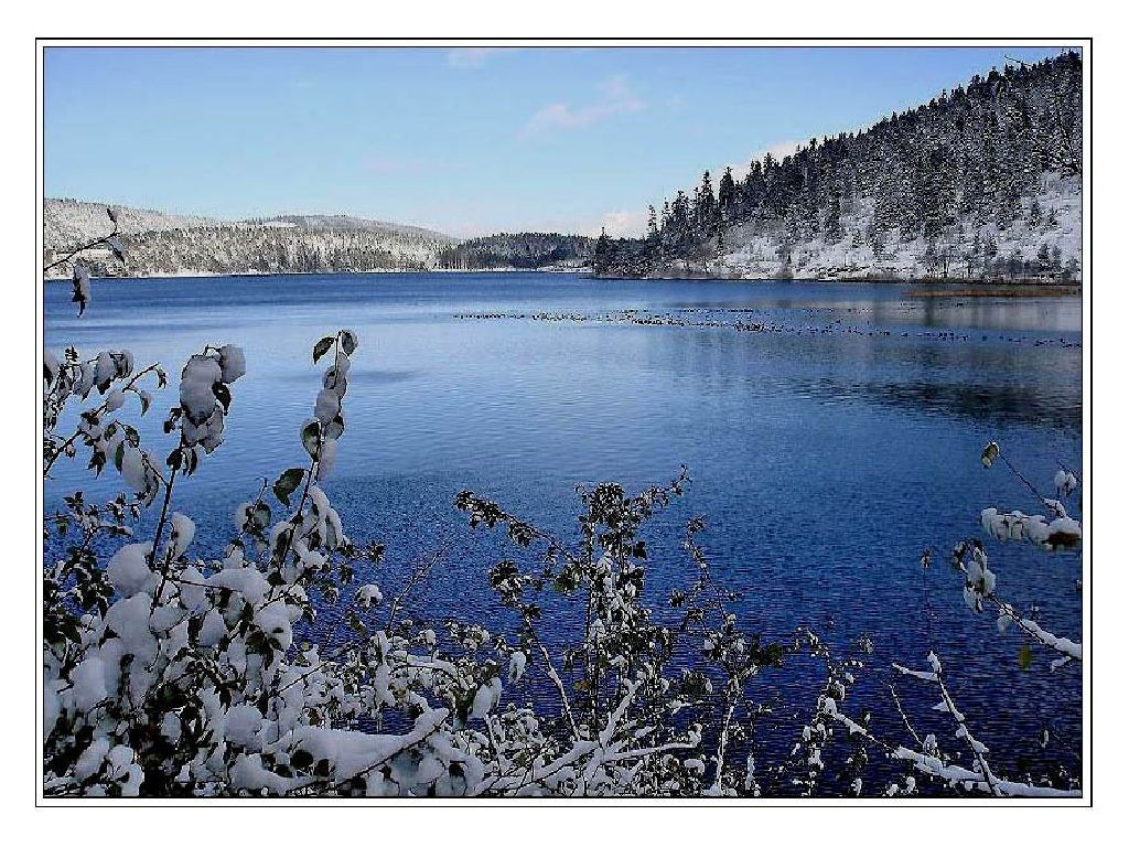 Snowy lake in winter