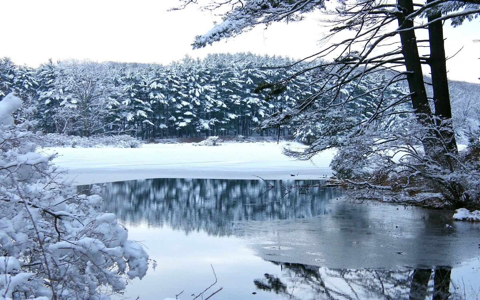 Snowy lake in winter