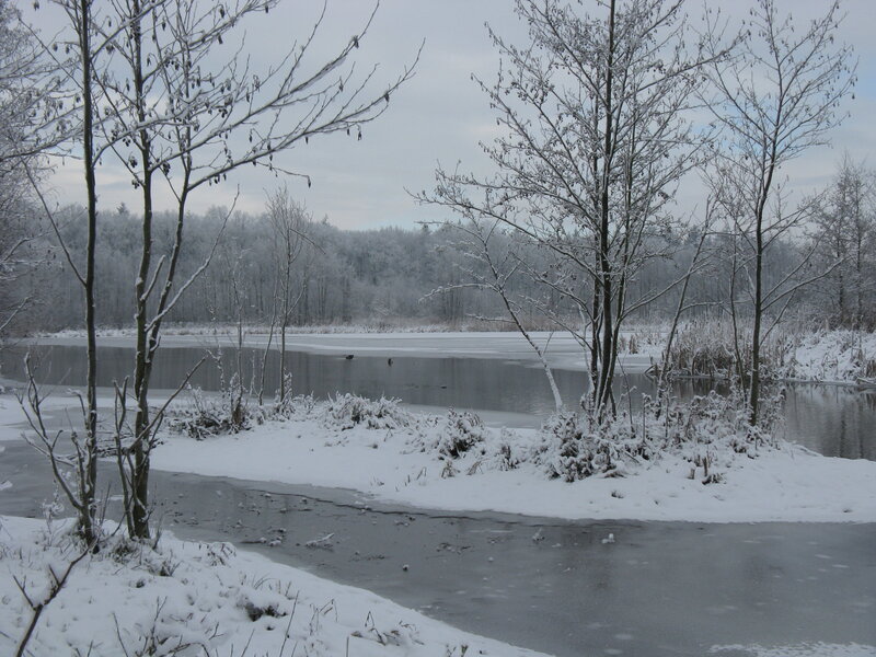 Snowy lake in winter