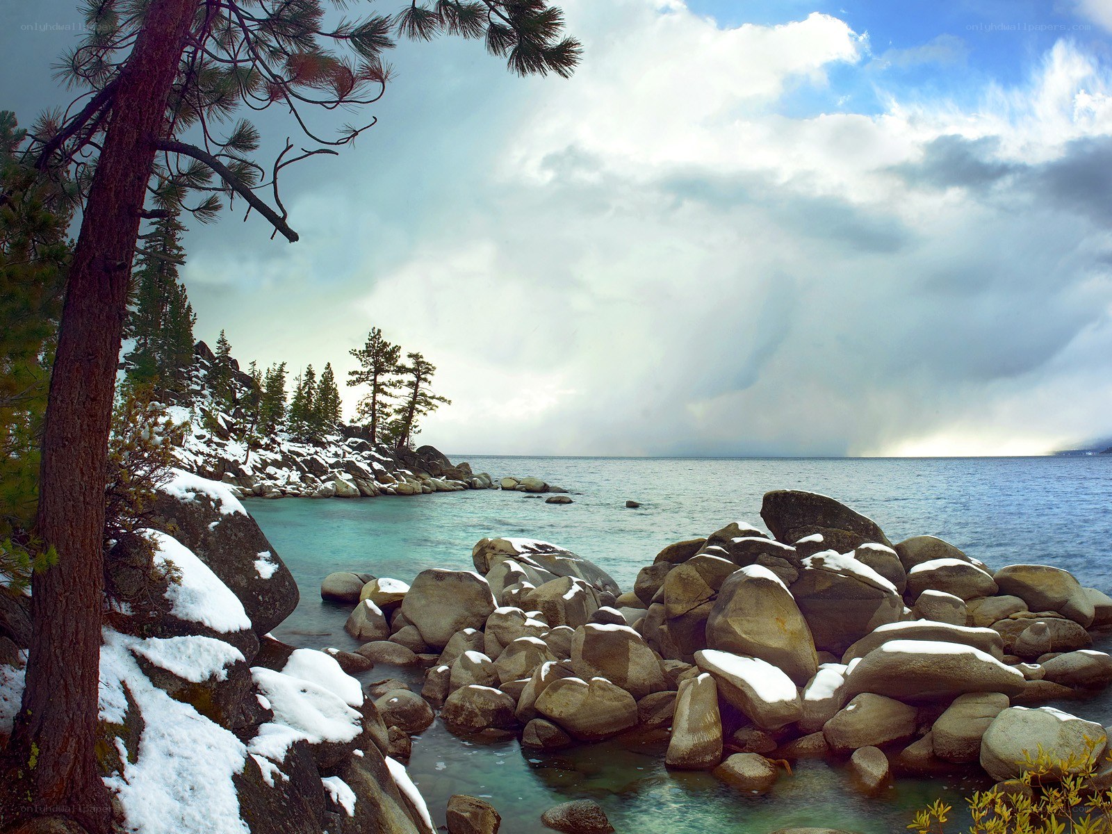 Snowy lake shore with pine trees
