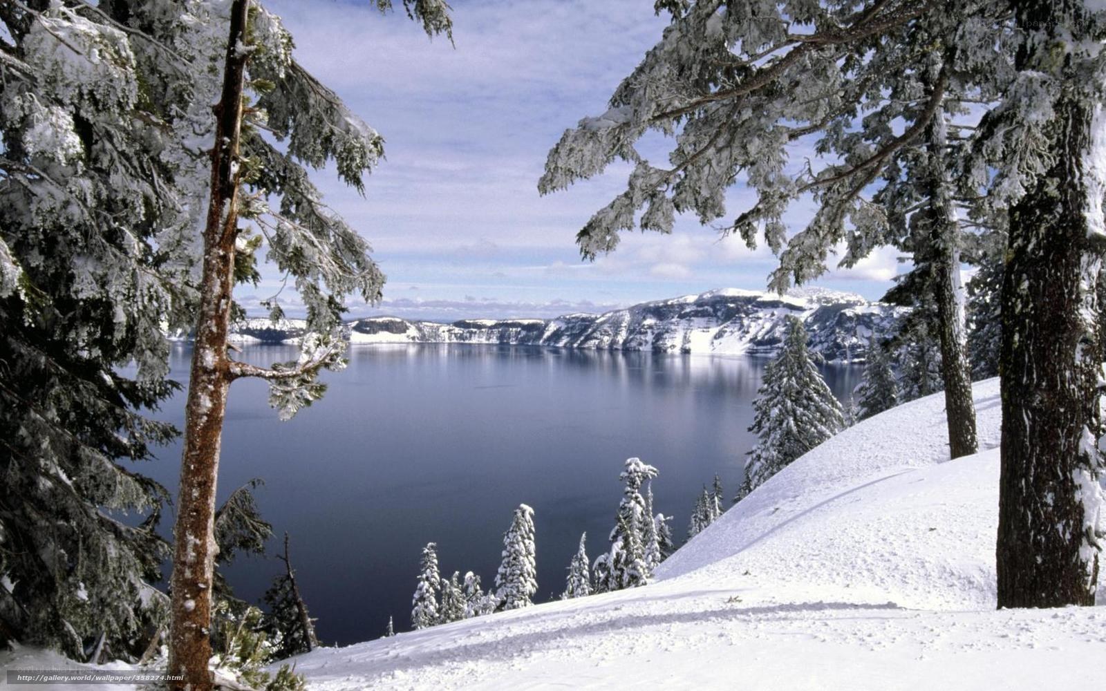 Snowy lake view from forest