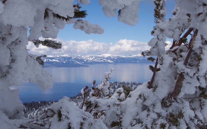 Snowy lake view from pine branches