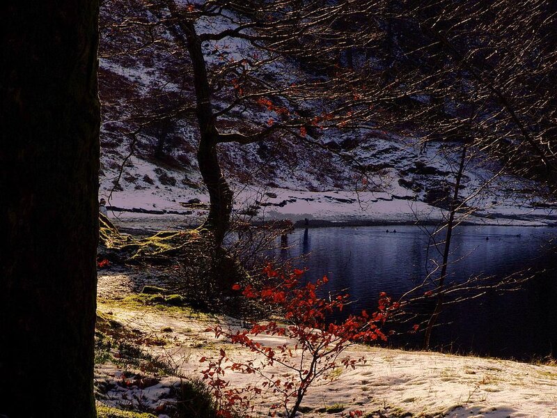 Snowy lake with autumn leaves