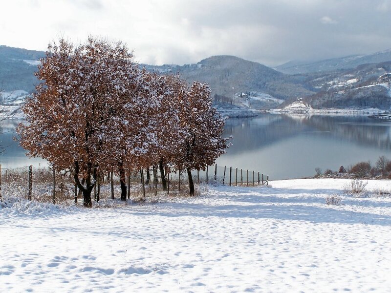 Snowy lake with autumn trees