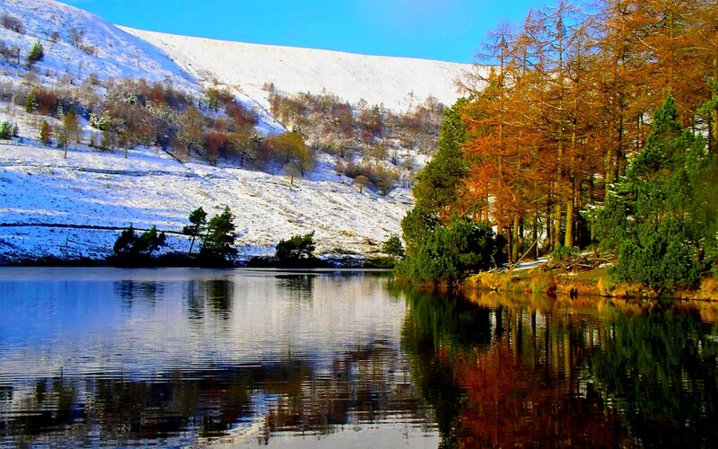 Snowy lake with autumn trees