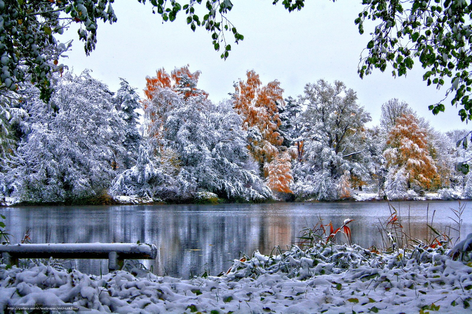 Snowy lake with autumn trees