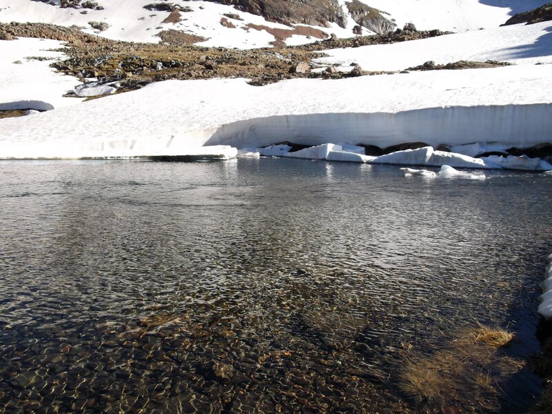 Snowy lake with clear water