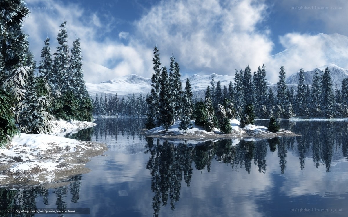 Snowy lake with evergreen trees