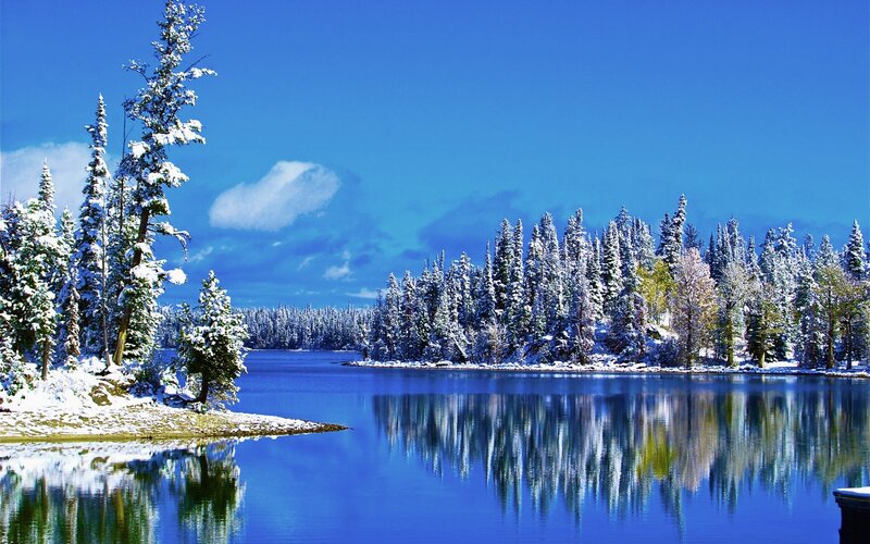 Snowy lake with forest reflection