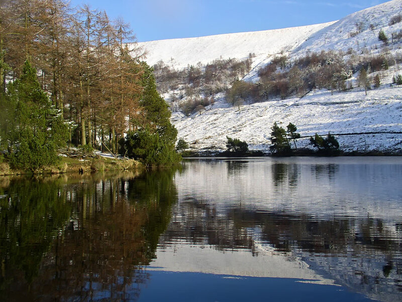 Snowy lake with forest reflection