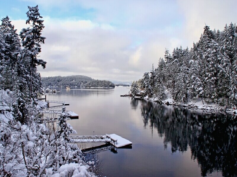 Snowy lake with forested shores