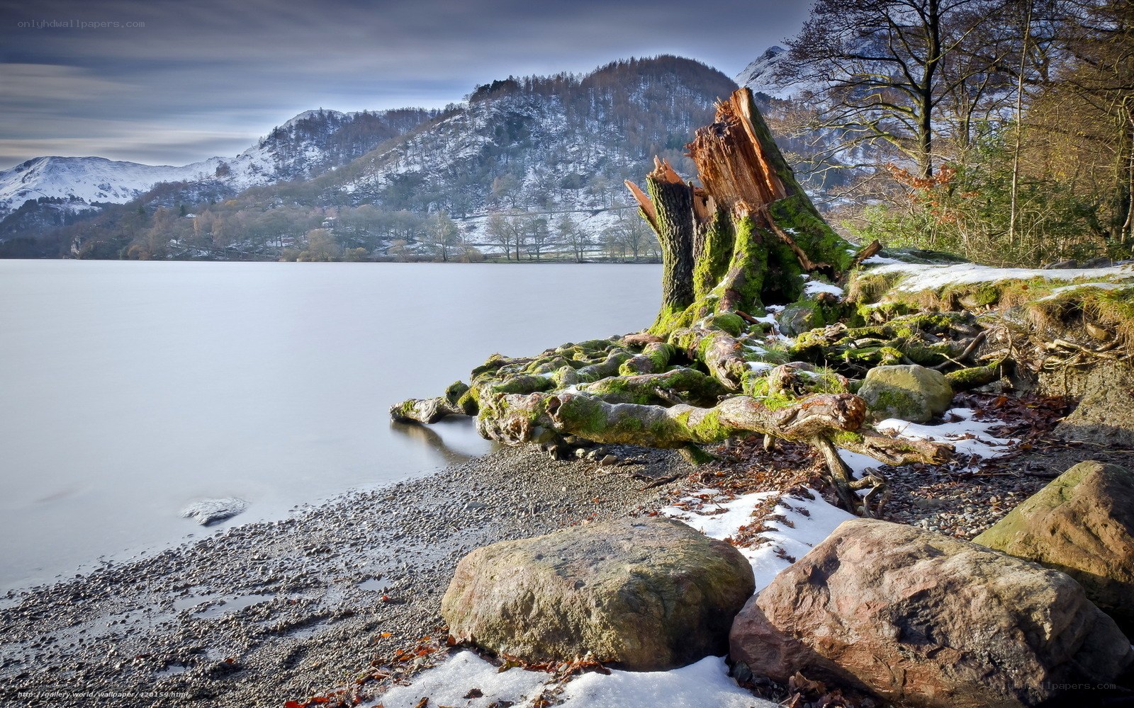 Snowy lake with tree stump