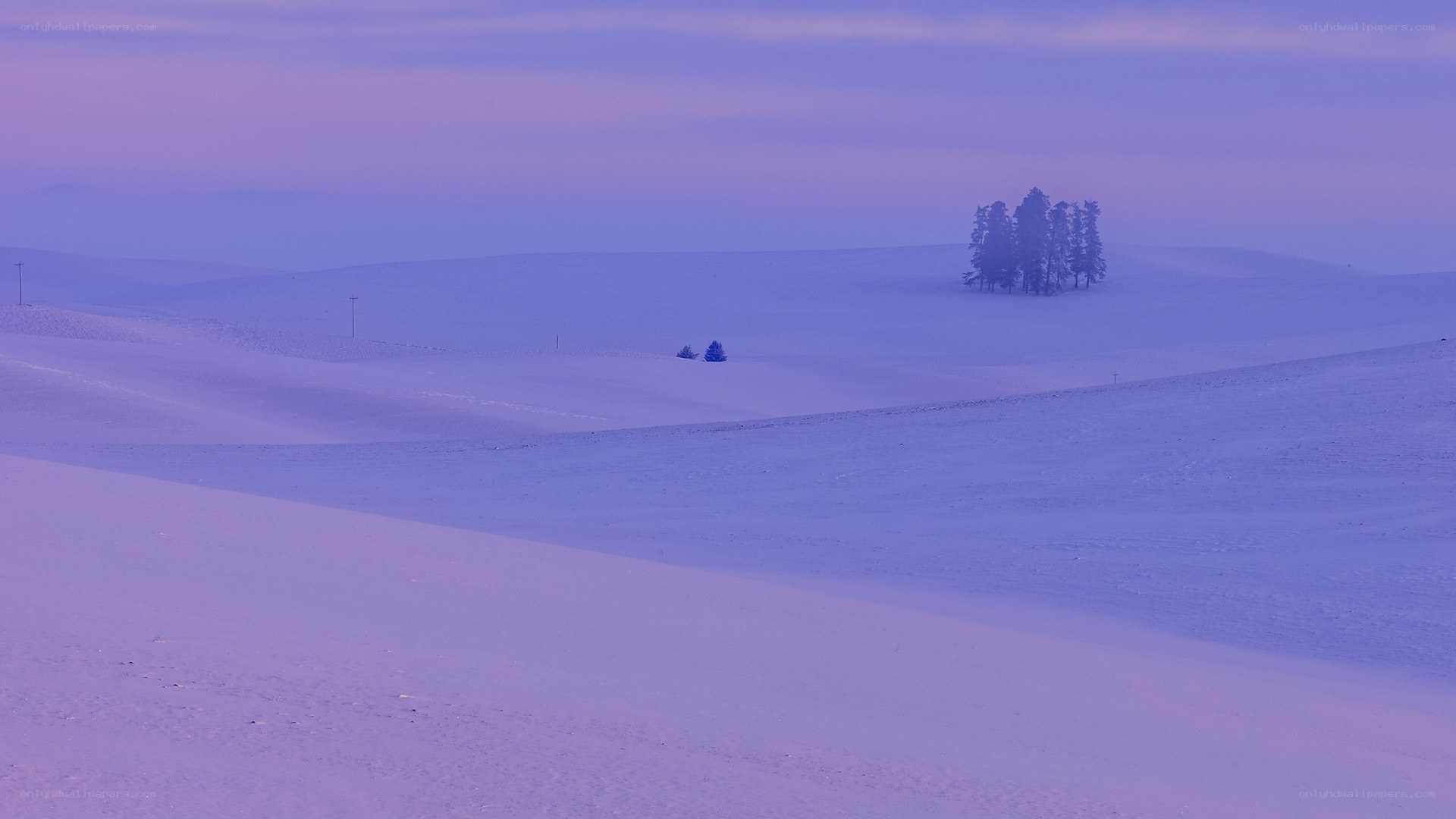 Snowy landscape at dawn