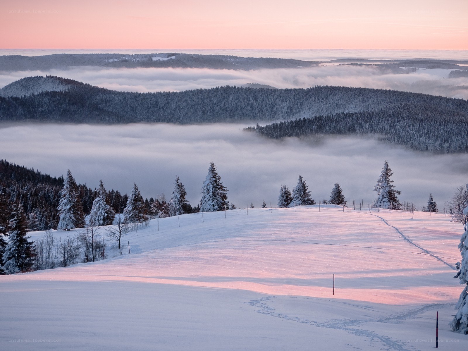 Snowy landscape at dawn
