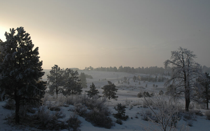 Snowy landscape at dawn