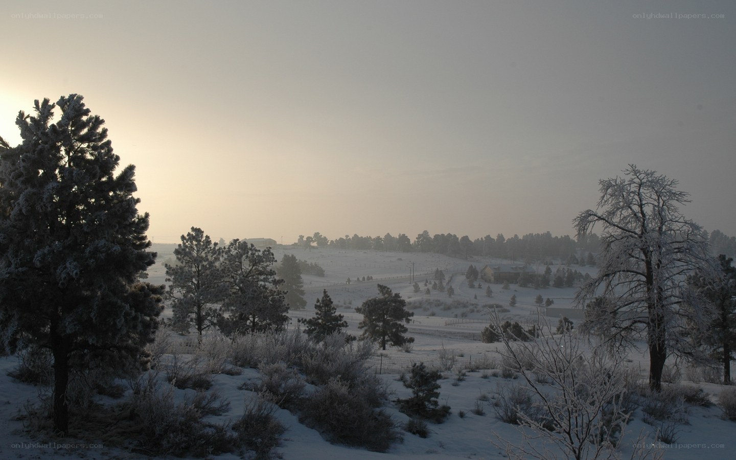 Snowy landscape at dawn