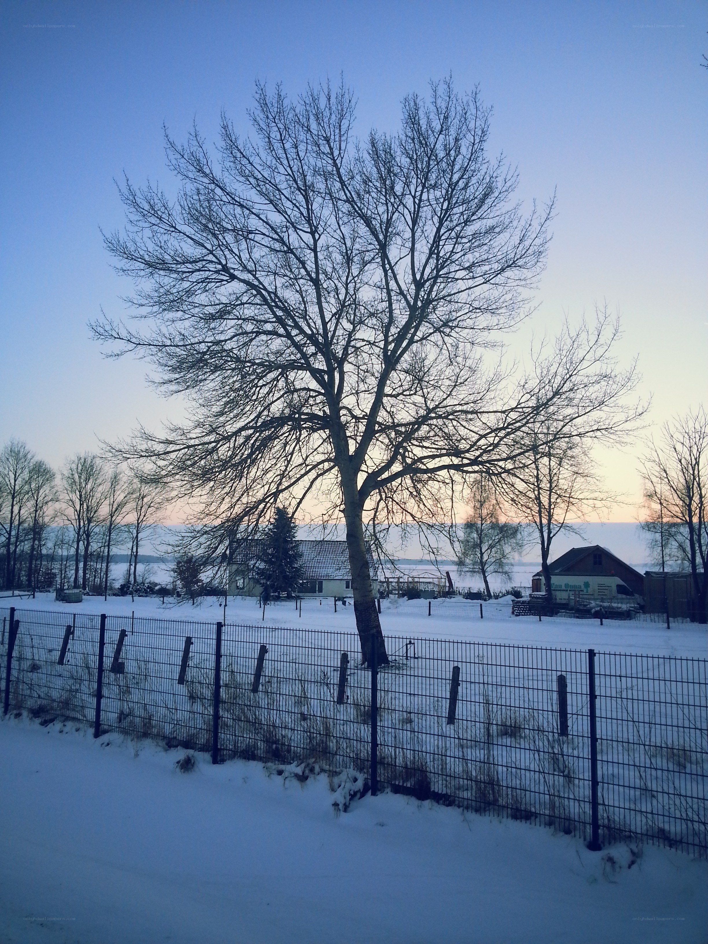Snowy landscape at dusk