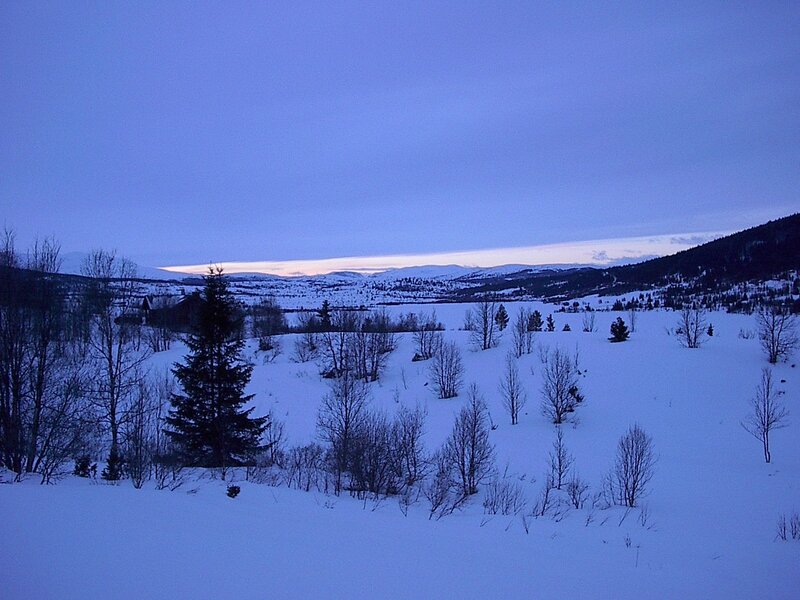 Snowy landscape at dusk