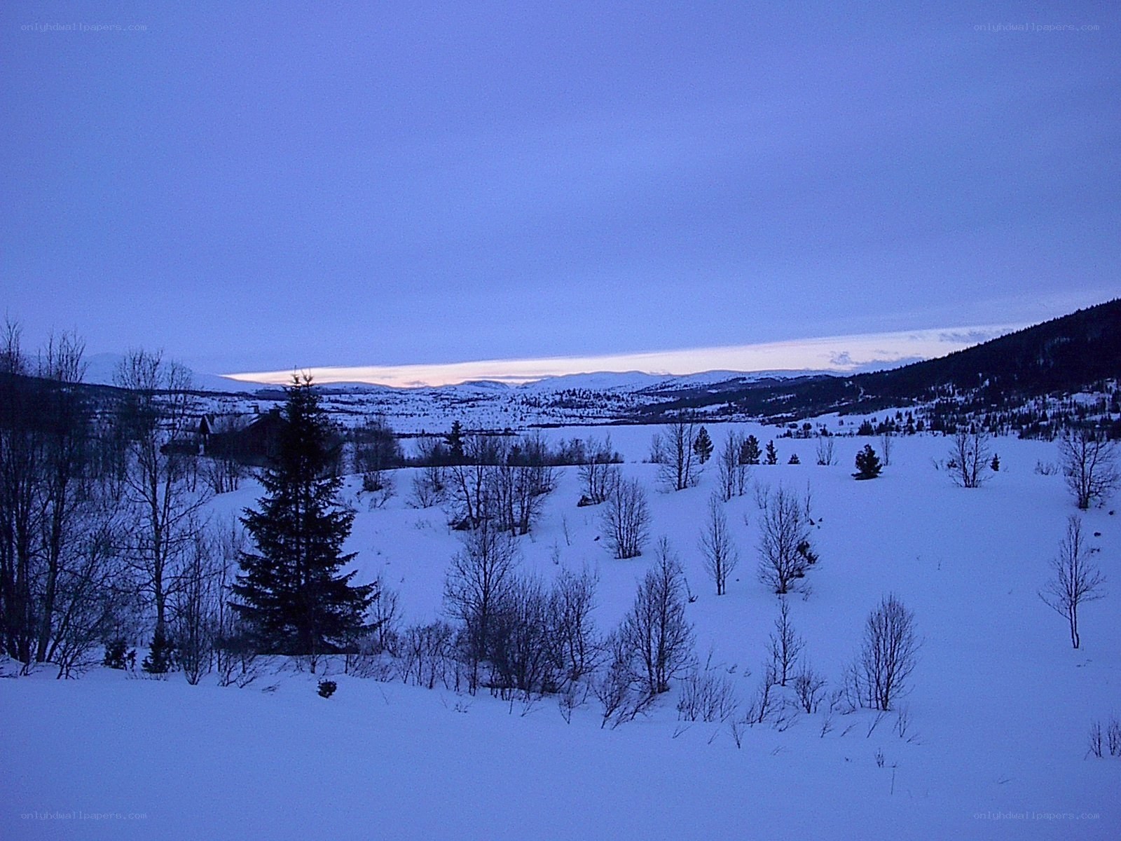 Snowy landscape at dusk