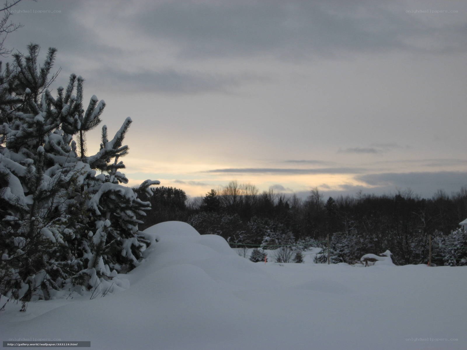 Snowy landscape at dusk