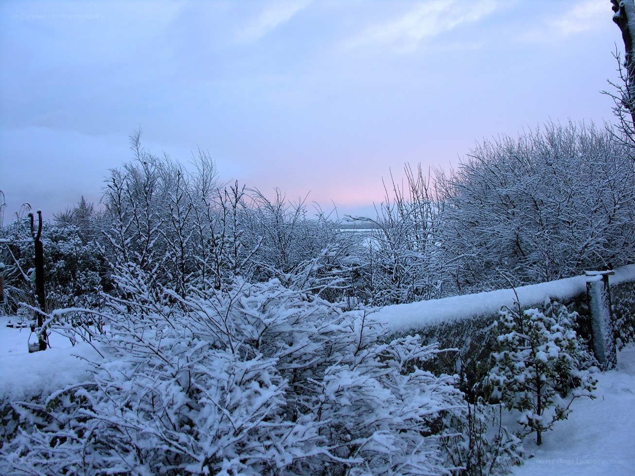 Snowy landscape at dusk