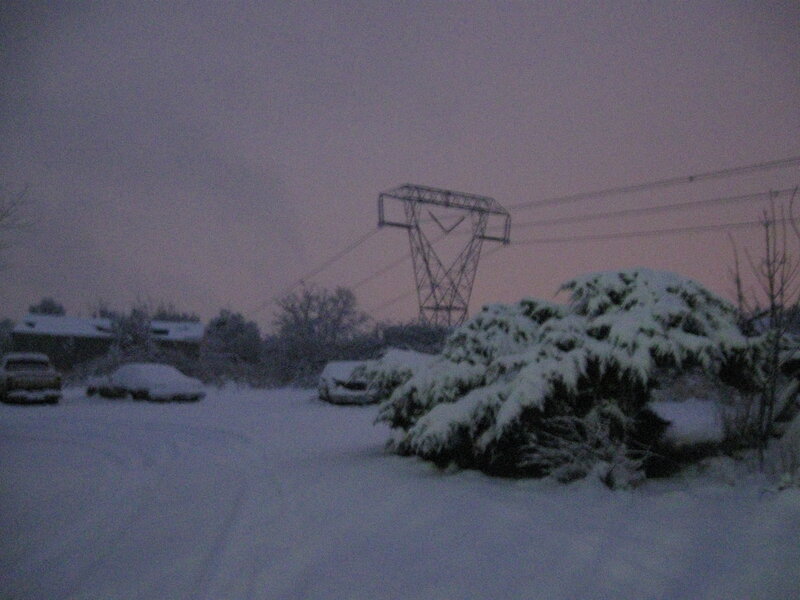 snowy landscape at dusk