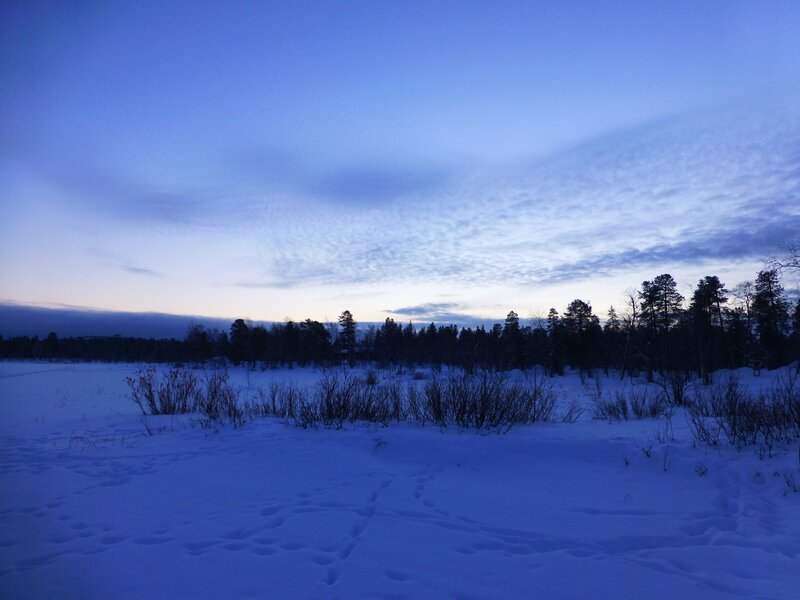 Snowy landscape at dusk