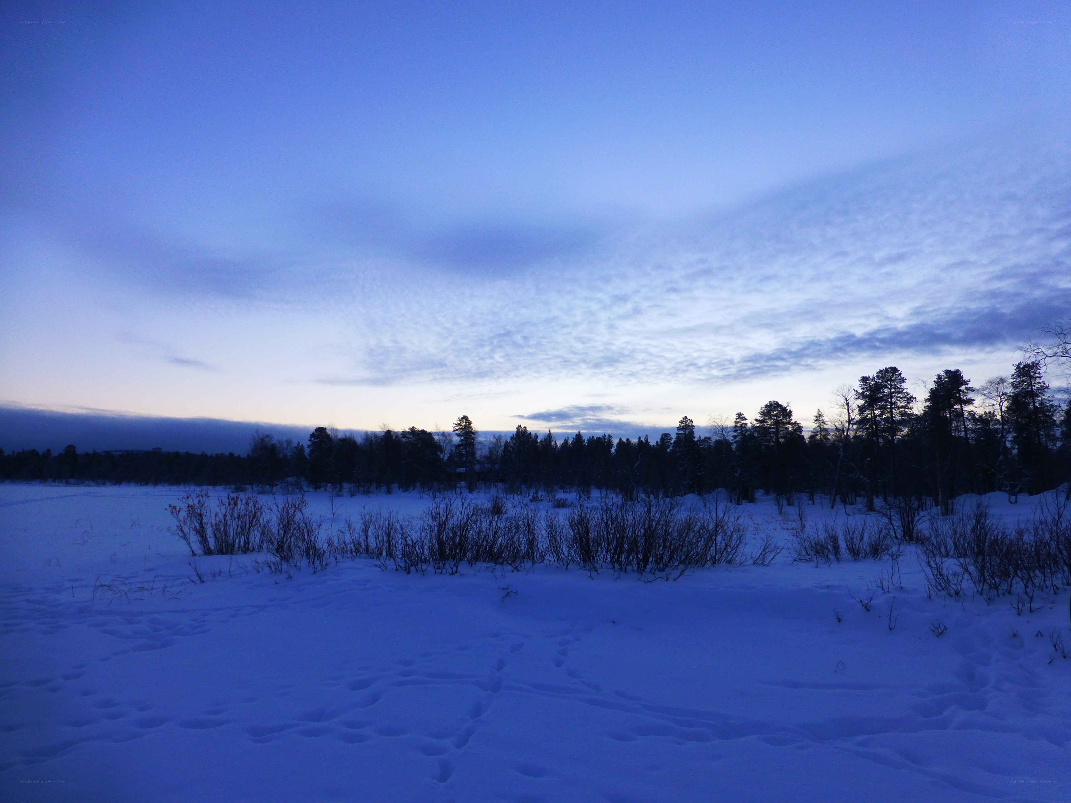 Snowy landscape at dusk