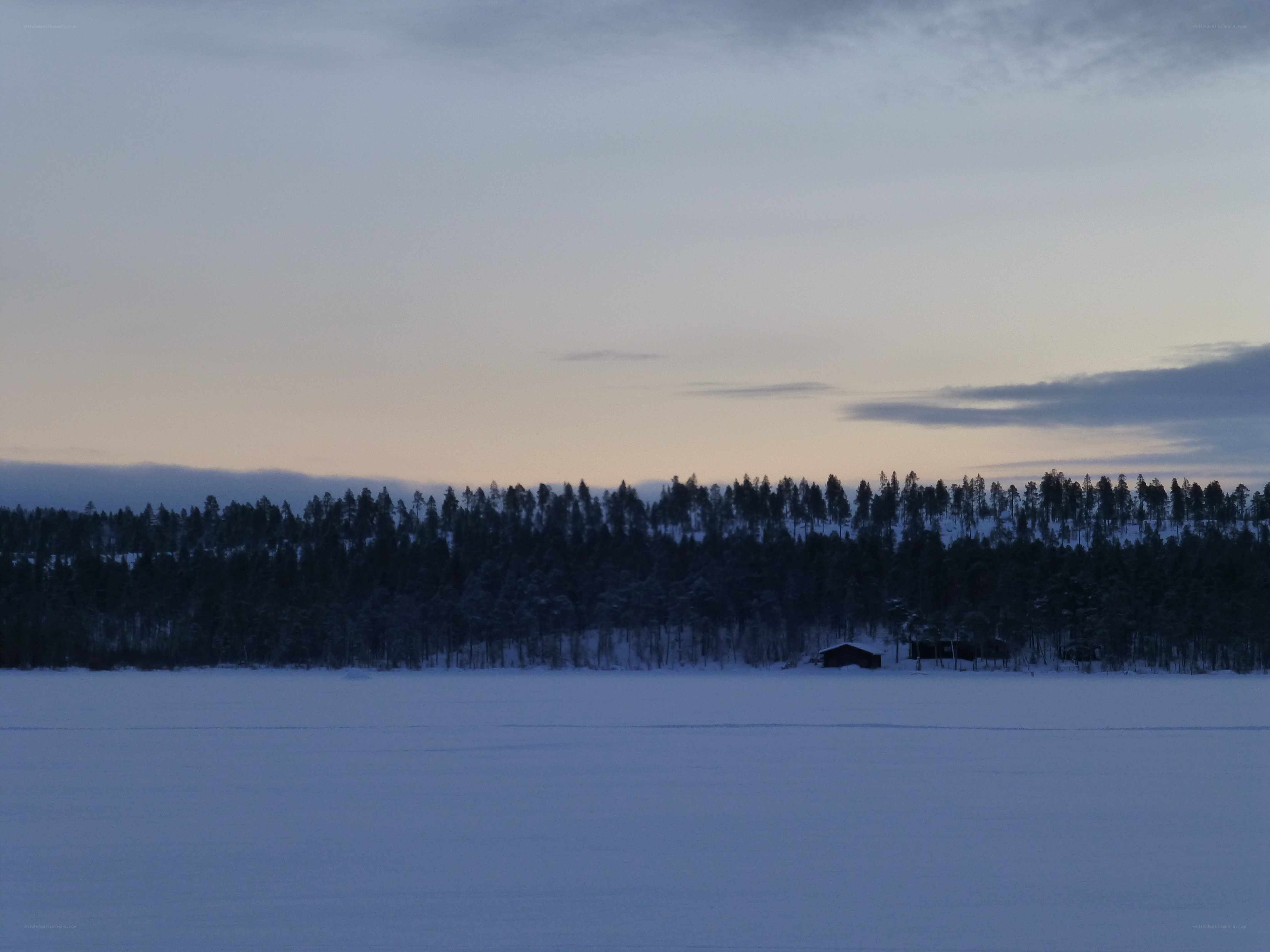 Snowy landscape at dusk