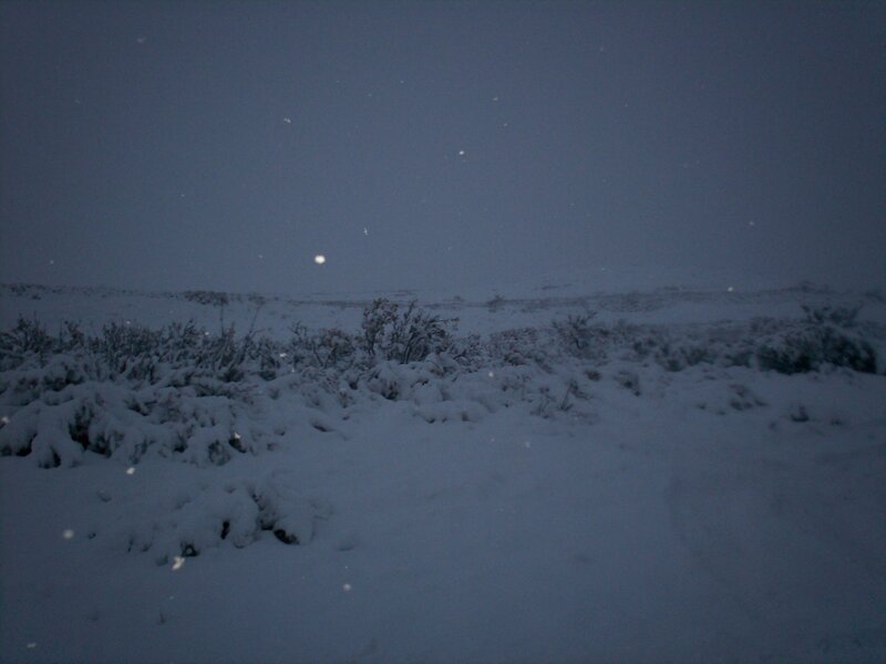 Snowy landscape at night