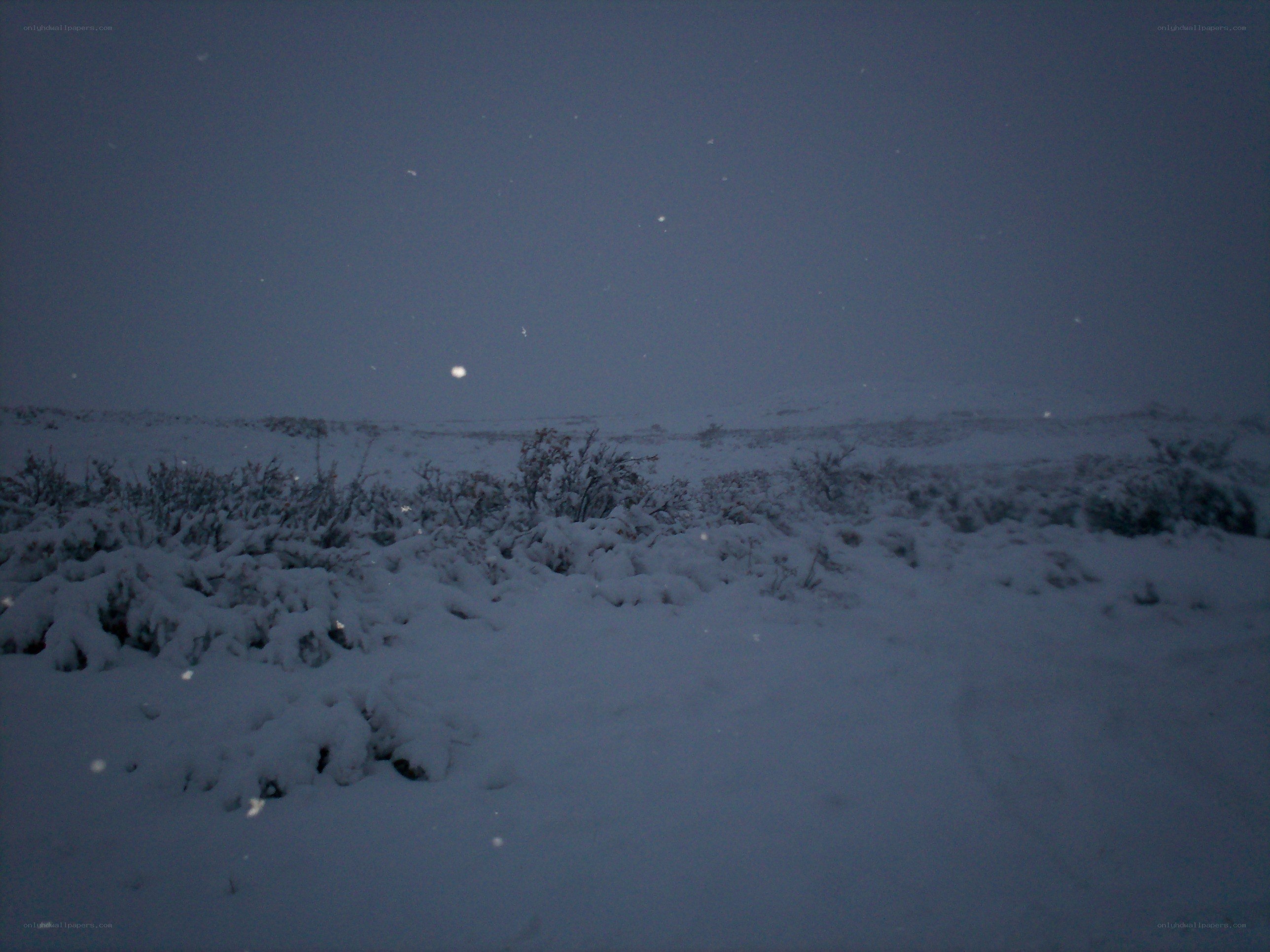 Snowy landscape at night