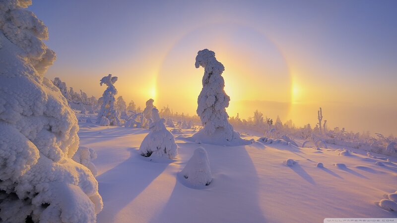 Snowy landscape at sunrise