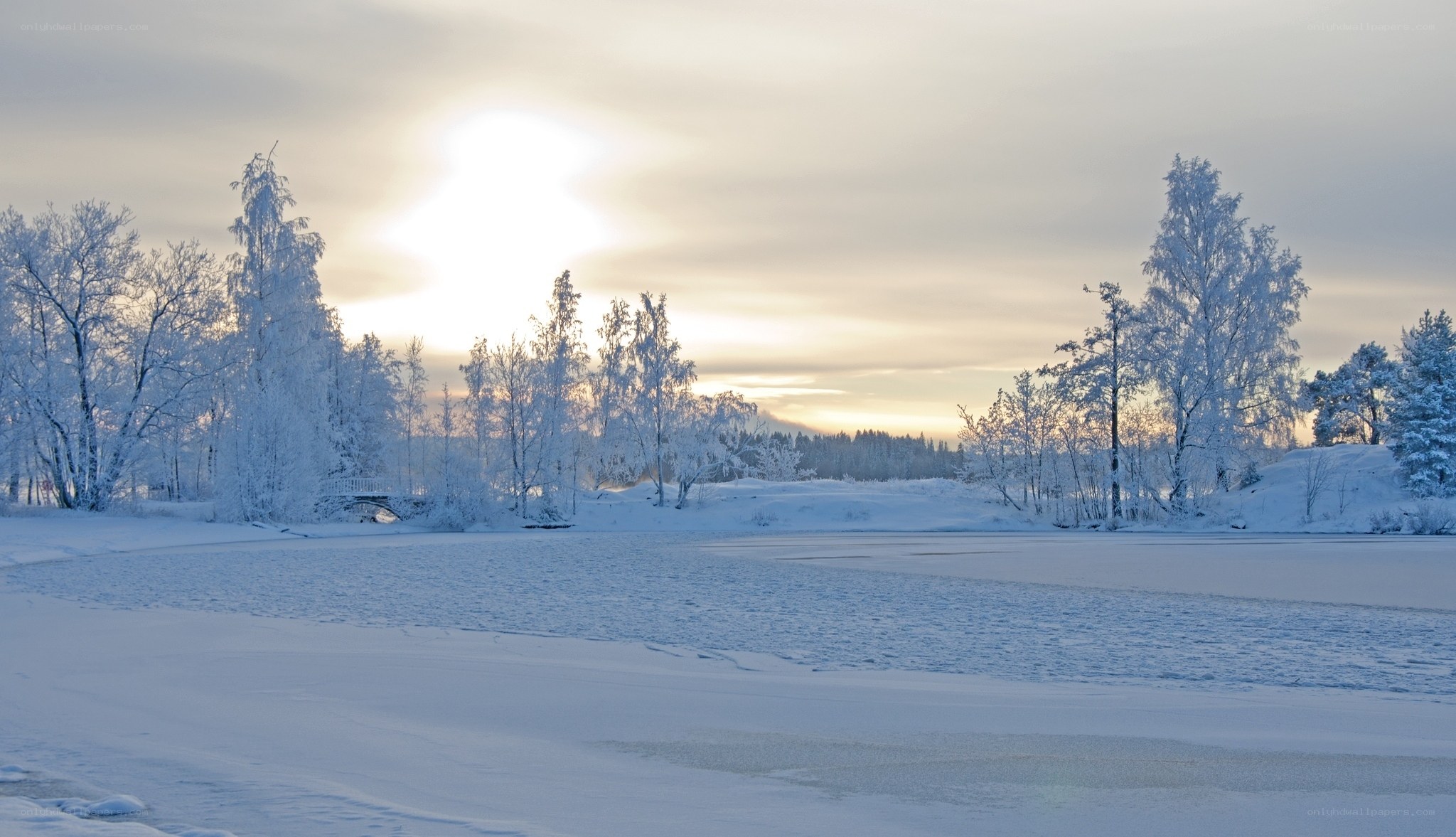 Snowy landscape at sunrise