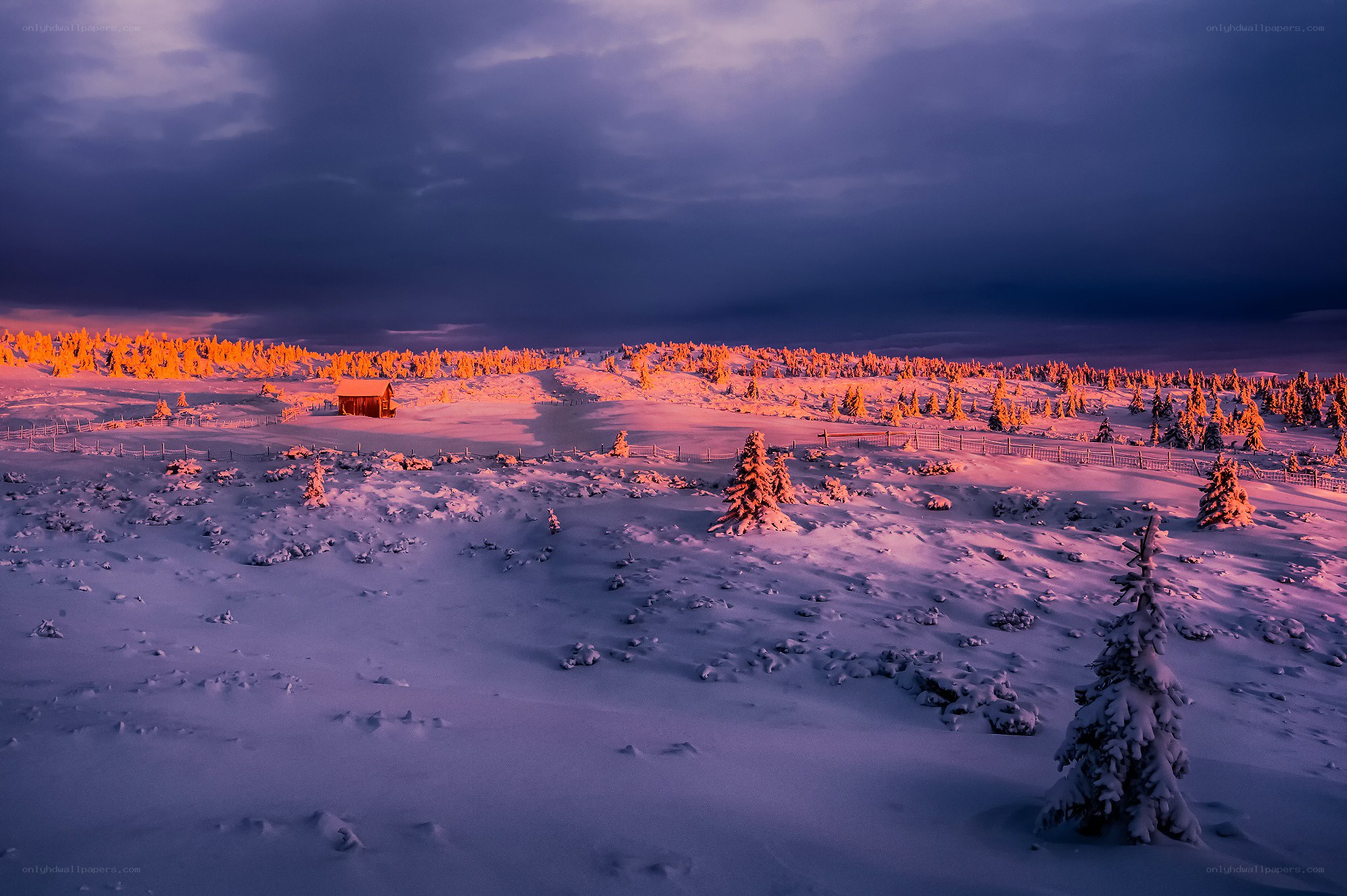 Snowy landscape at sunset