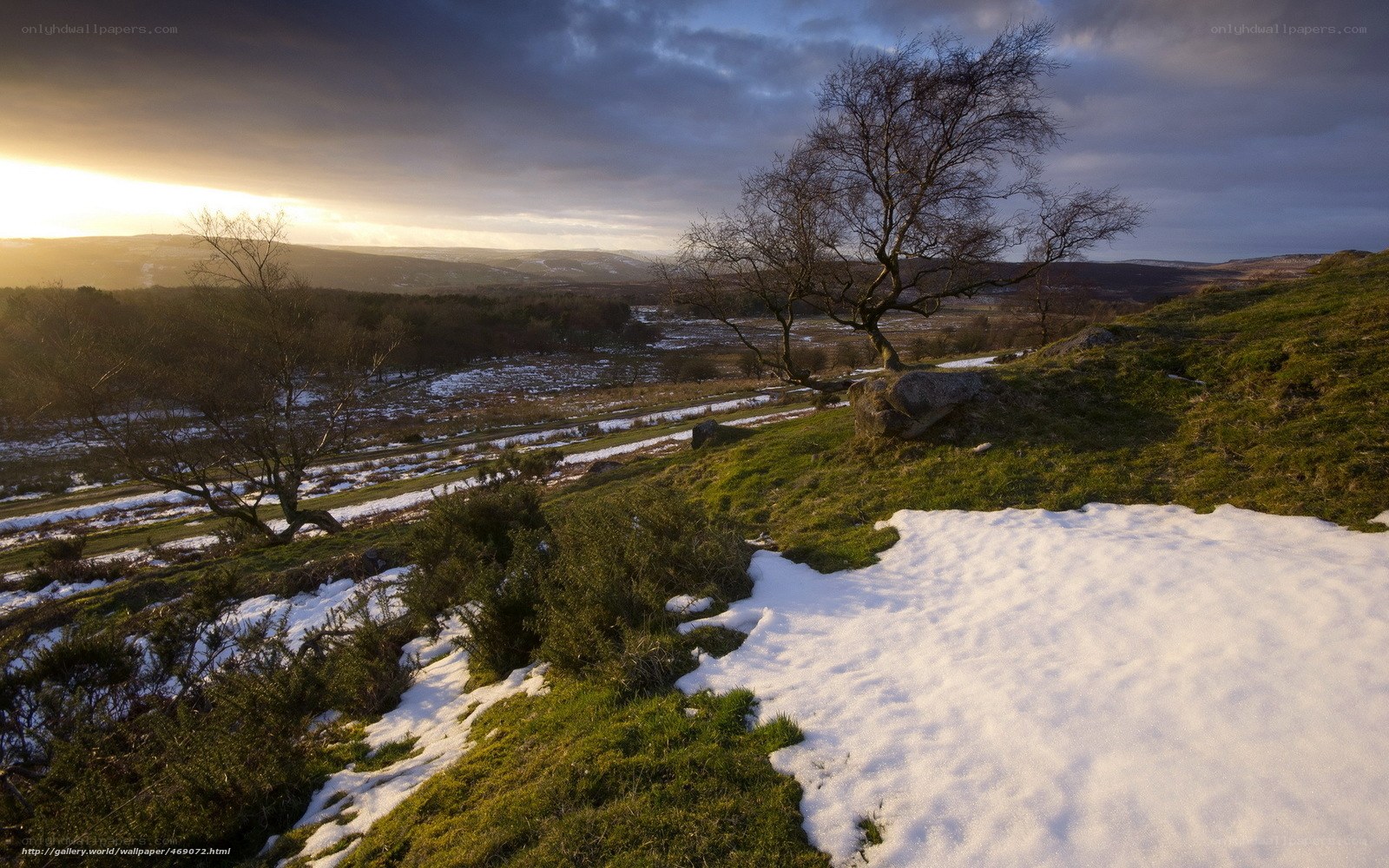 Snowy landscape at sunset