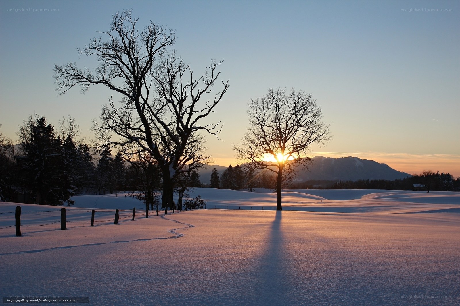Snowy landscape at sunset