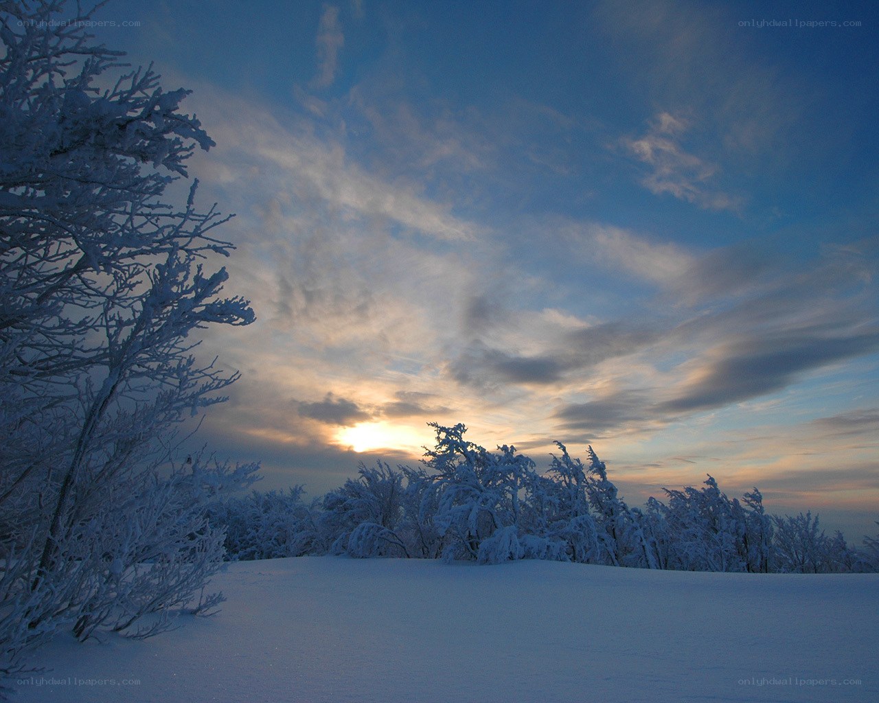 Snowy landscape at sunset