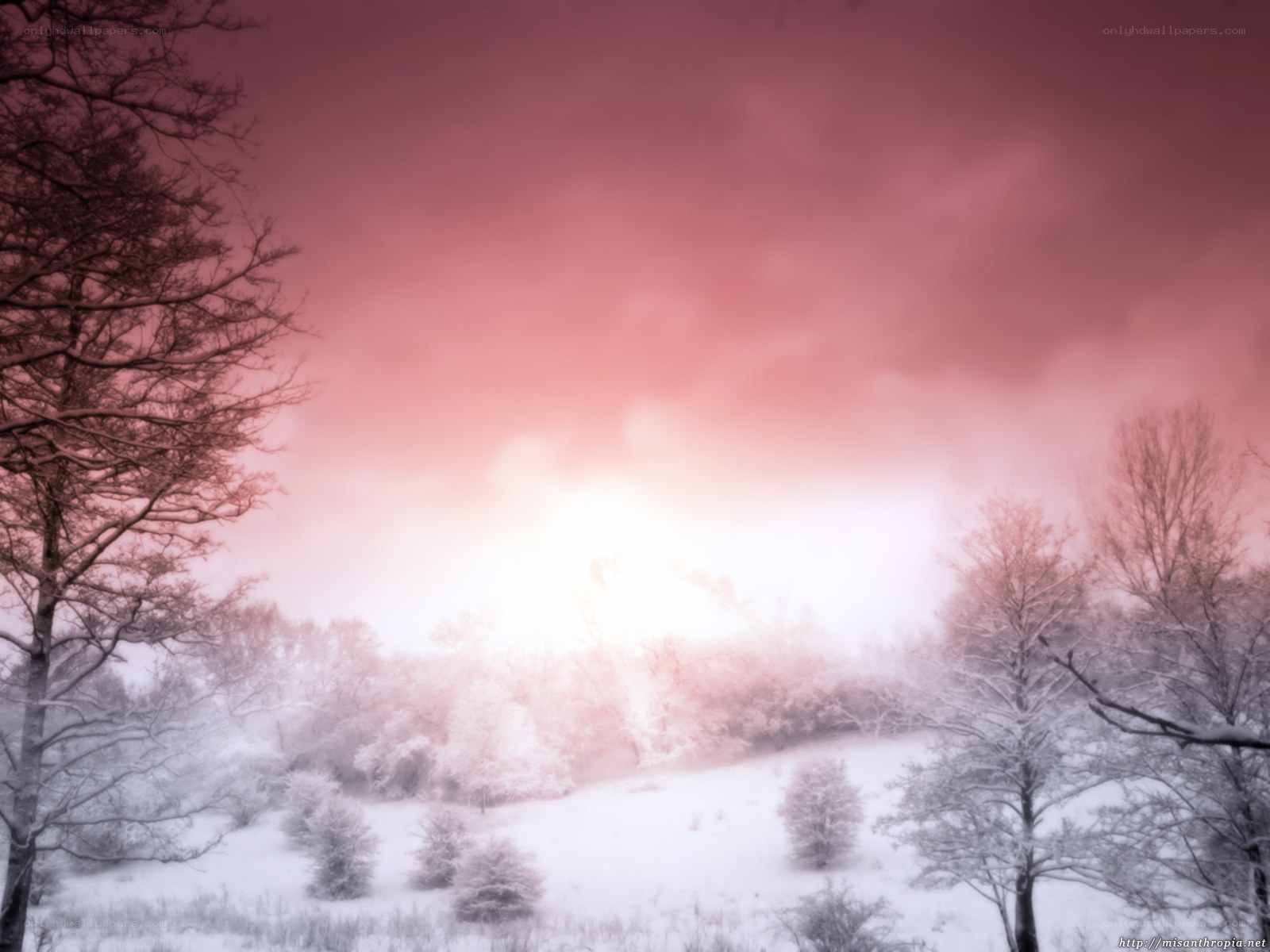 Snowy landscape at sunset