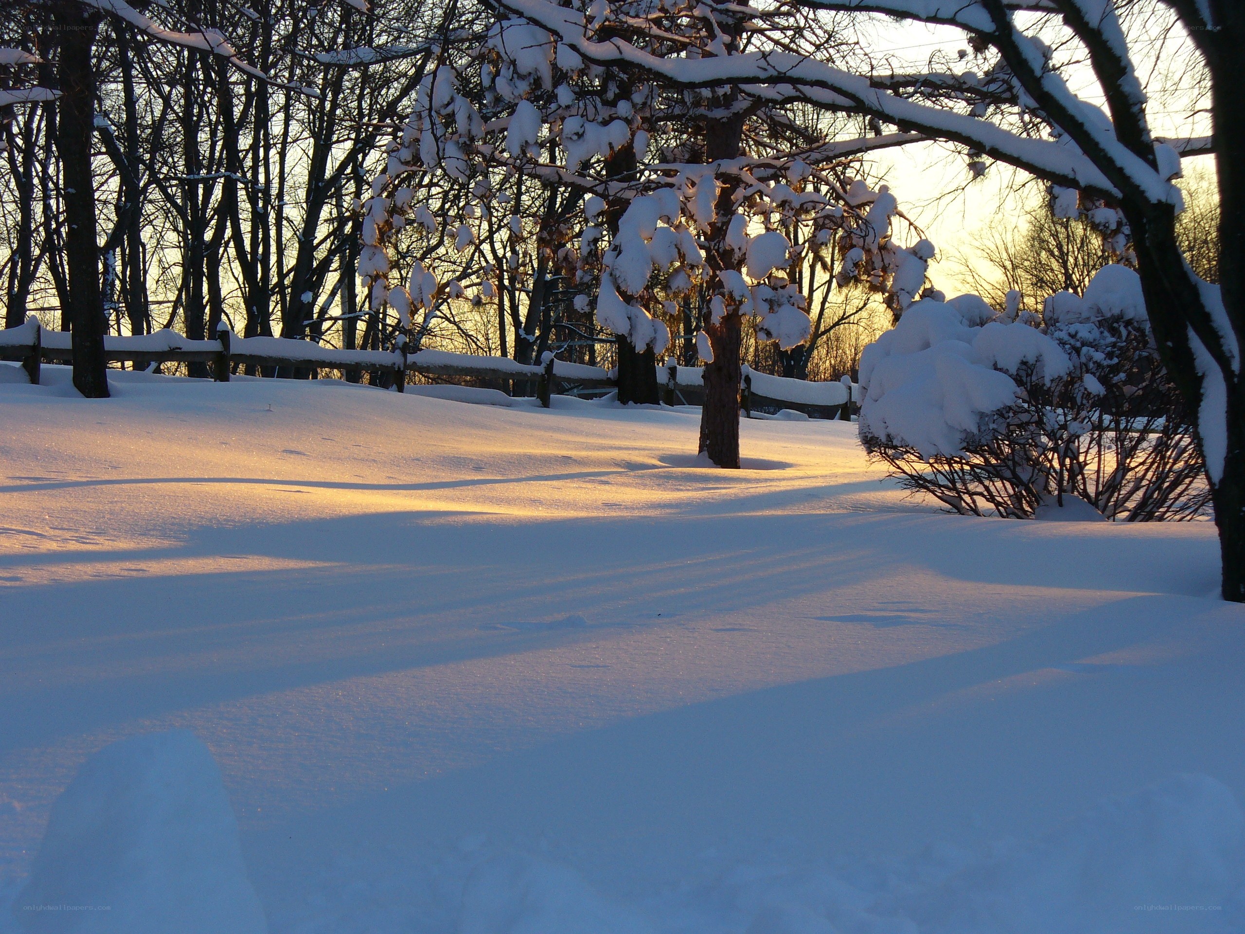 Snowy landscape at sunset