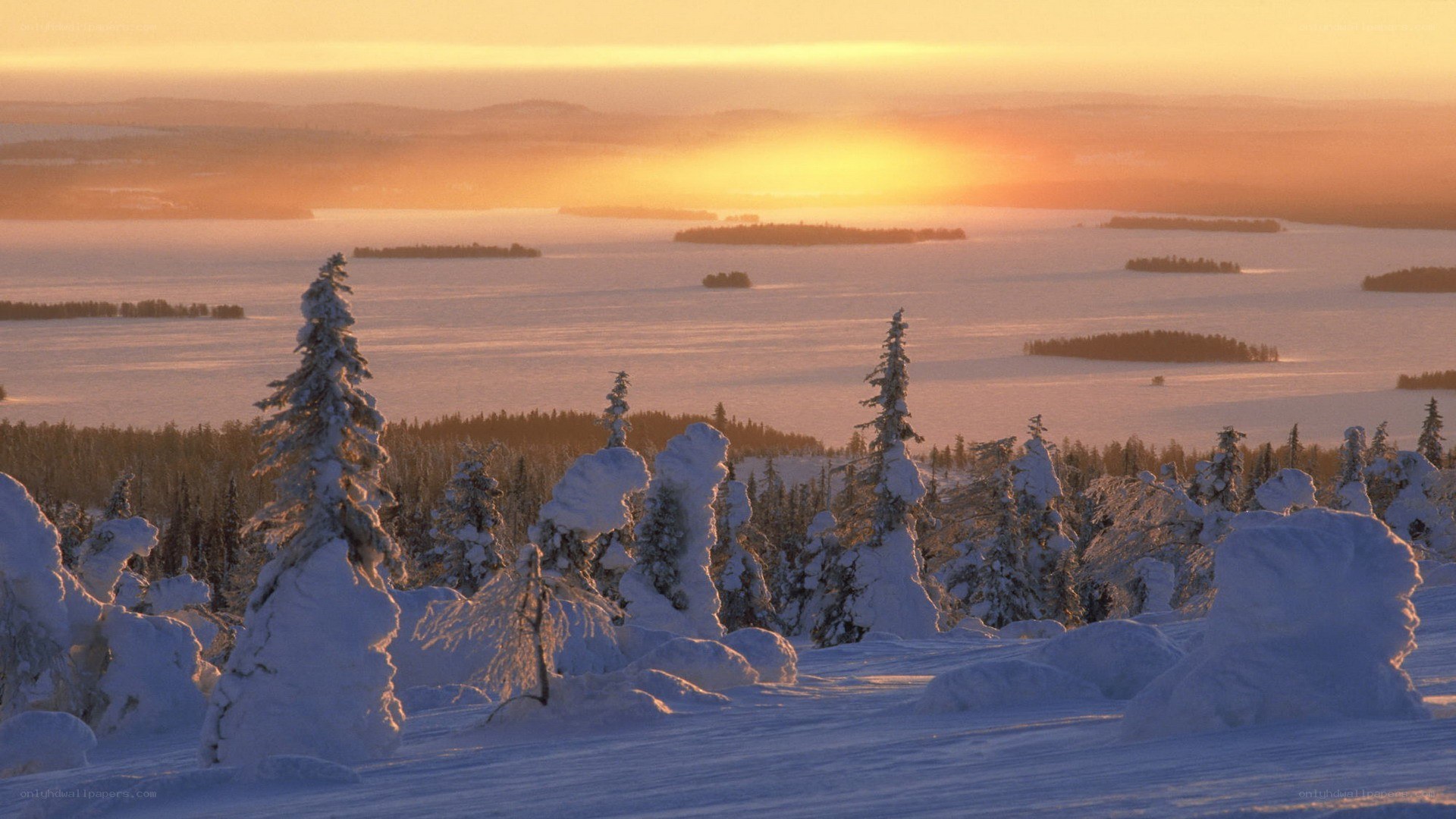 Snowy landscape at sunset