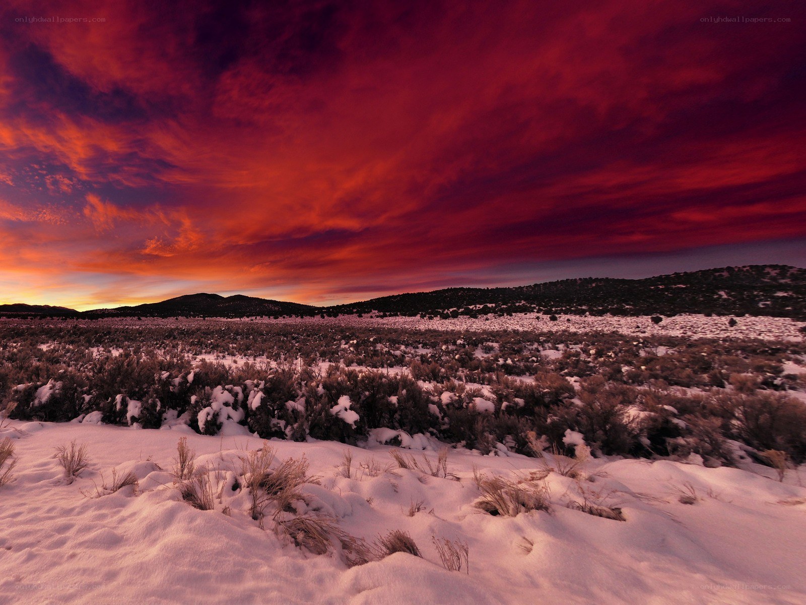 Snowy landscape at sunset