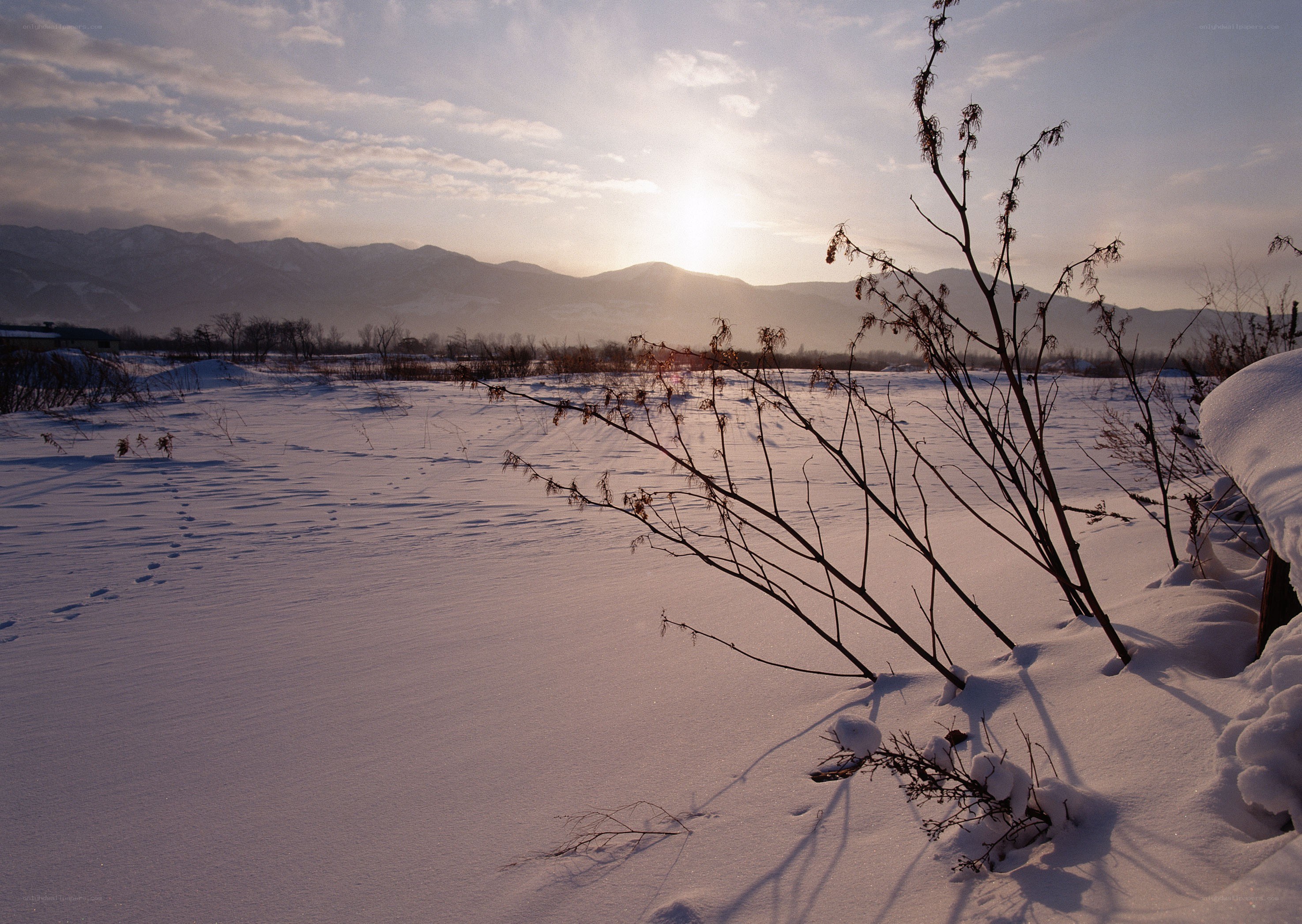 Snowy landscape at sunset