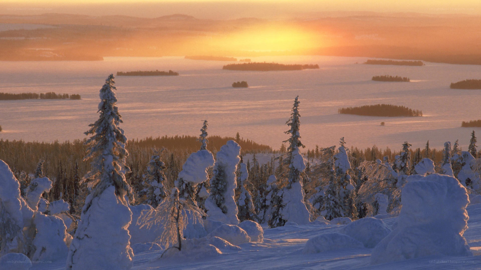 Snowy landscape at sunset