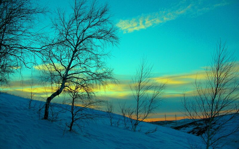 Snowy landscape at sunset