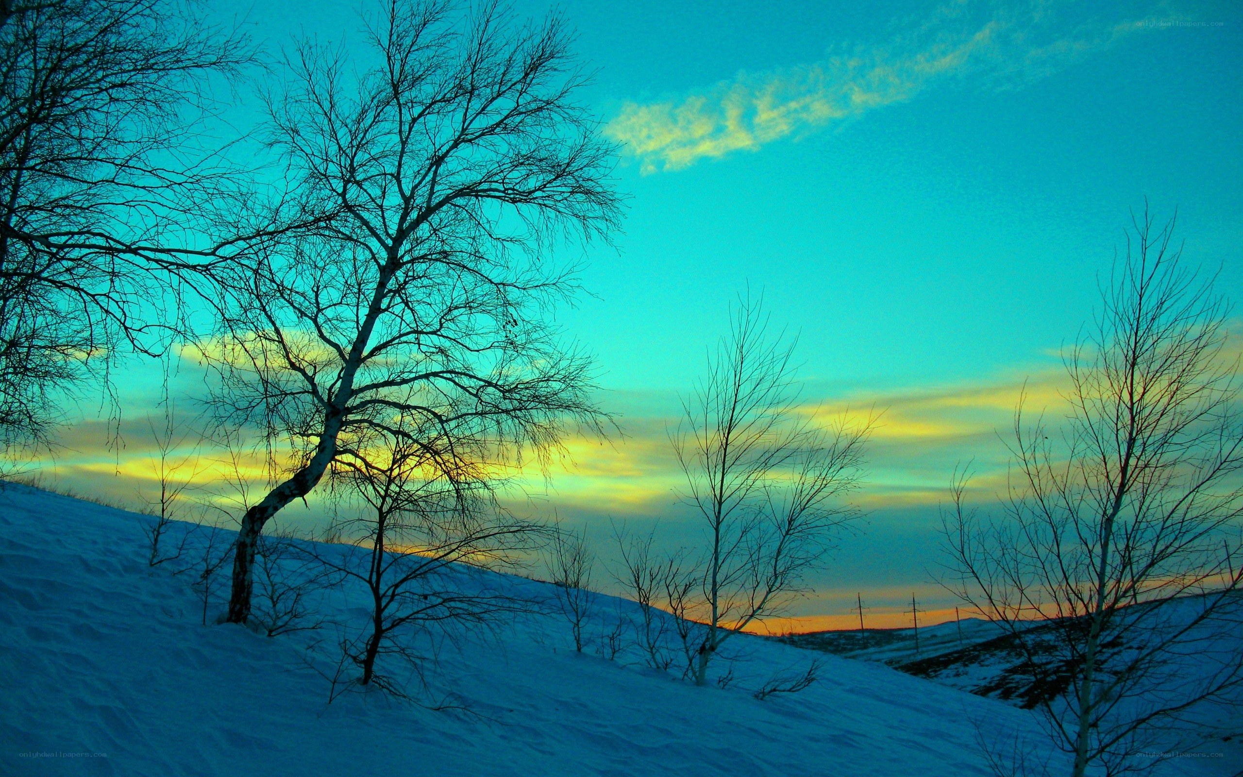 Snowy landscape at sunset