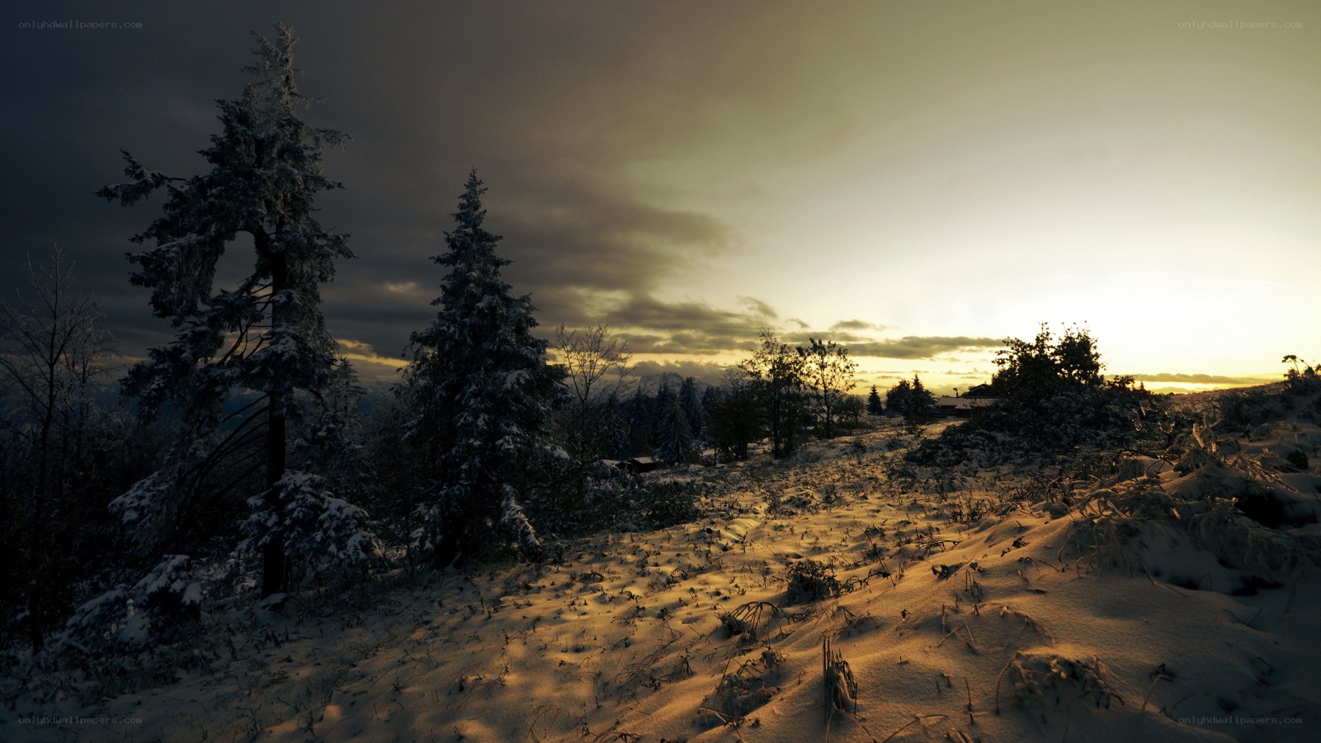 Snowy landscape at sunset