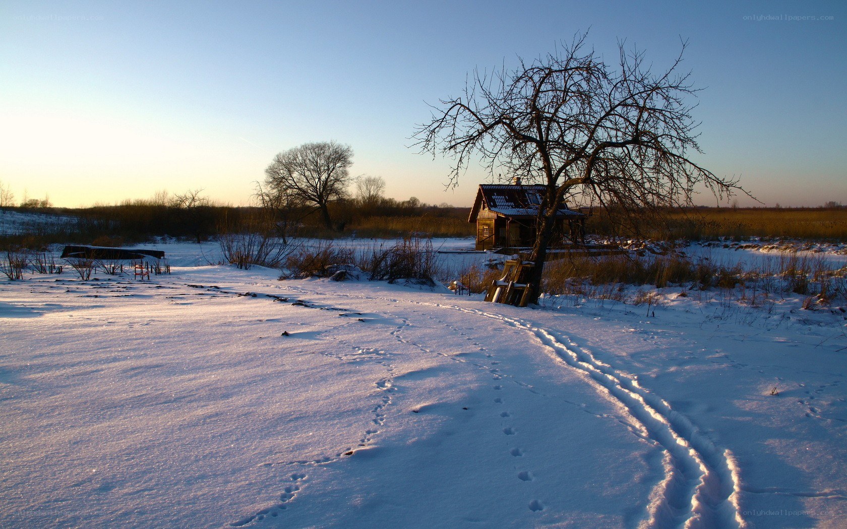 Snowy landscape at sunset