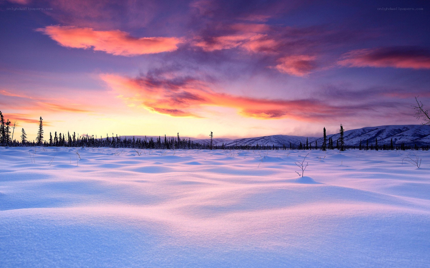 Snowy landscape at sunset